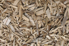 biomass boilers Ebreywood